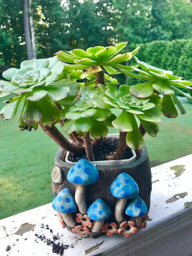 Premium Unique one of a kind Hand Made Clay planter with drainage hole for succulents. Plant is NOT included